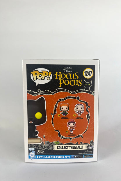 Funko Pop! Disney Hocus Pocus Thackery Binx (1247)