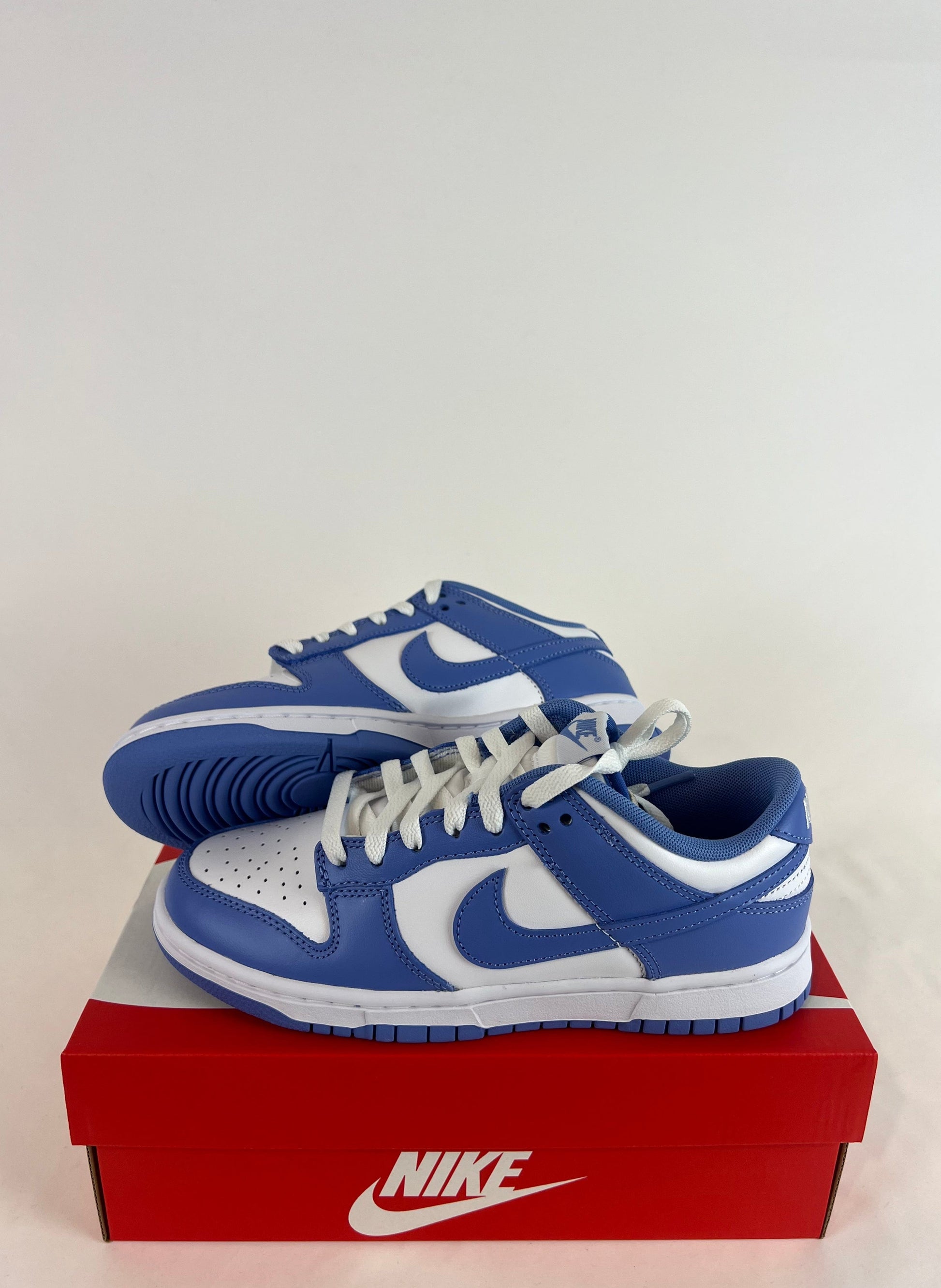 Nike Dunk Low Retro 'Polar Blue' – Sole City - Main Image